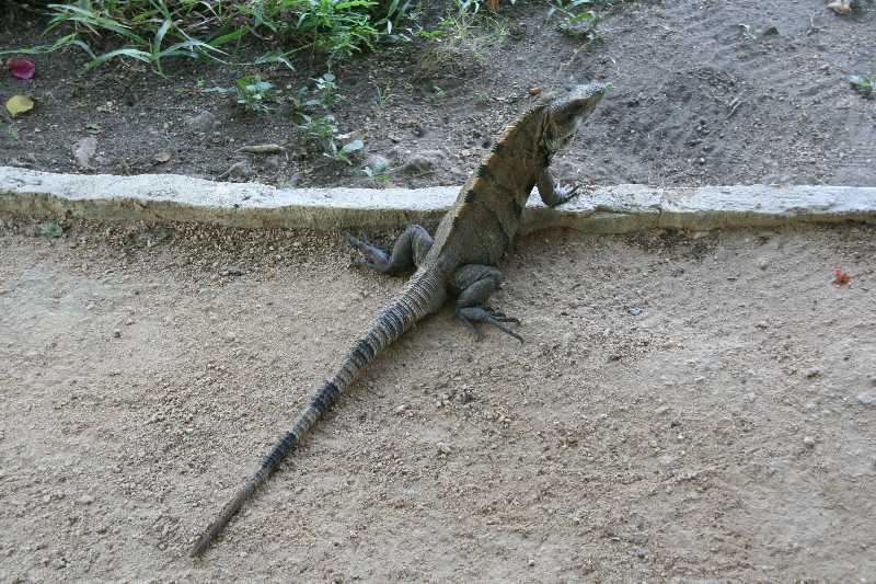 Mexico & Guatemala 2010 - 1236